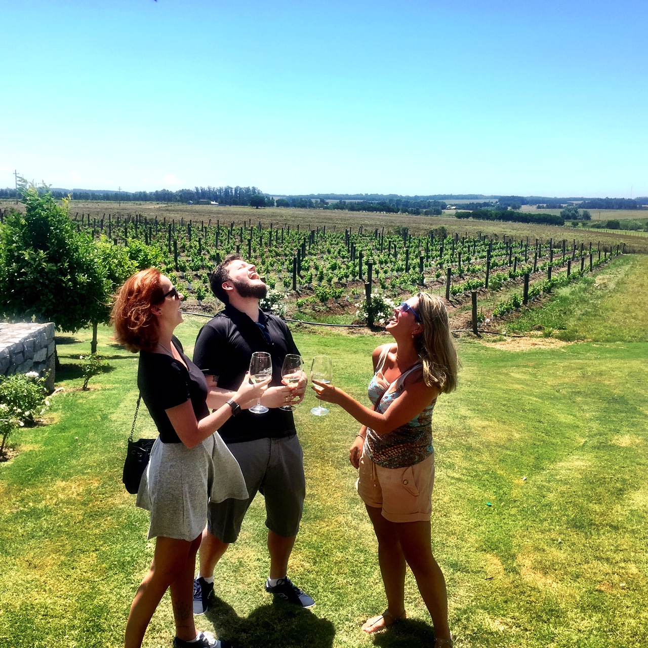 UNCORK MONTEVIDEO INDULGE IN A MONTEVIDEO WINE TASTING