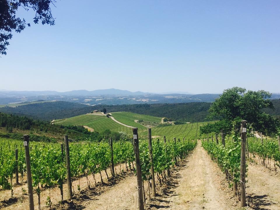 napa valley wine yarda